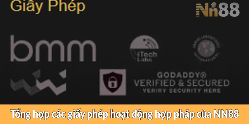 Tổng hợp thông tin giấy phép và kiểm định NN88